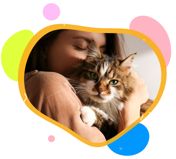 Book a local and insured cat sitter Book a local and insured cat sitter